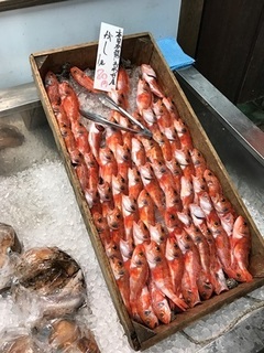 写真 2017-04-20 10 47 19.jpg