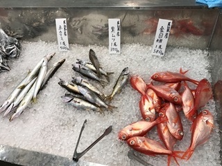 写真 2017-04-28 10 52 26.jpg