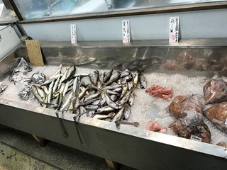 写真 2017-05-15 11 06 05.jpg