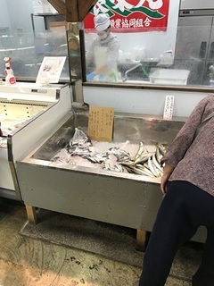 写真 2017-05-15 11 06 25.jpg
