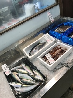 写真 2017-08-24 11 07 52.jpg