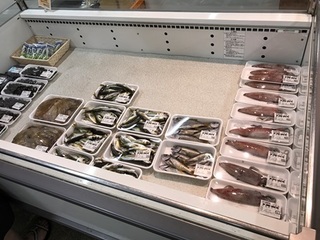 写真 2017-08-24 11 08 03.jpg