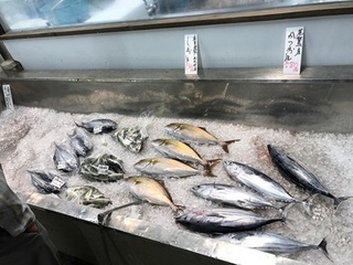 写真 2017-09-07 11 24 56.jpg