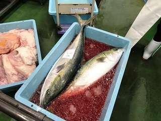 写真 2018-01-04 9 56 53.jpg