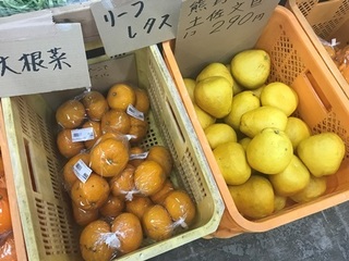 写真 2018-03-29 11 46 59.jpg