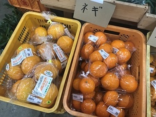 写真 2018-03-29 11 47 04.jpg