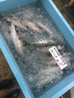 写真 2018-03-29 11 47 59.jpg