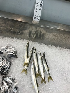写真 2018-04-12 10 34 59.jpg