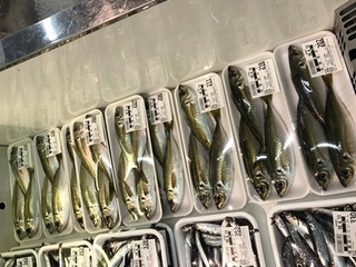 写真 2018-04-12 10 35 08.jpg