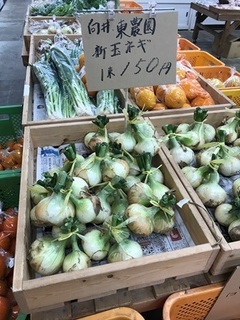 写真 2018-04-12 10 37 00.jpg