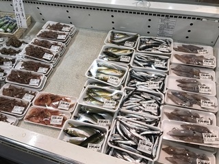 写真 2018-04-26 10 58 26.jpg
