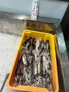 写真 2018-04-26 10 58 47.jpg