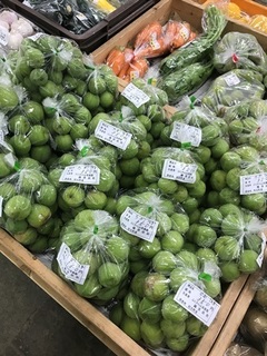写真 2018-05-30 11 09 08.jpg