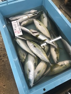 写真 2018-09-21 11 41 06.jpg