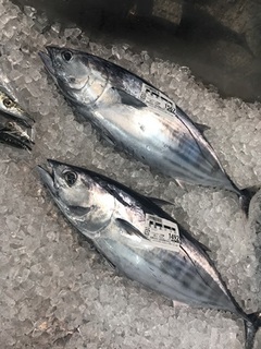 写真 2018-09-21 11 41 36.jpg