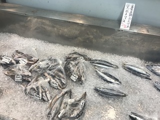 写真 2018-09-21 11 41 43.jpg