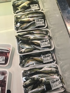 写真 2018-09-21 11 41 52.jpg