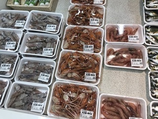 写真 2018-10-10 11 40 13.jpg