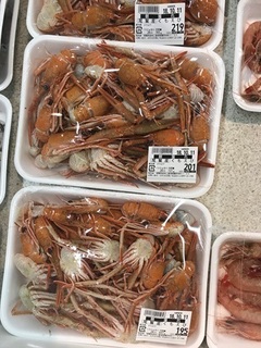 写真 2018-10-10 11 40 21.jpg