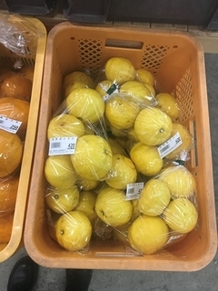 写真 2019-03-08 12 04 18.jpg