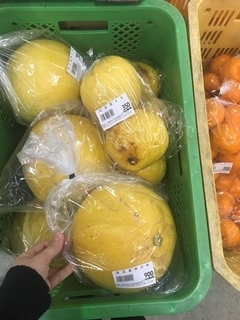 写真 2019-03-08 12 04 43.jpg