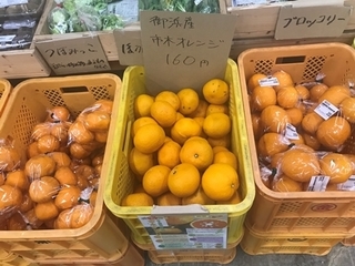 写真 2019-03-08 12 05 02.jpg
