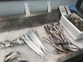 写真 2019-03-08 12 05 48.jpg