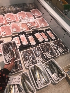 写真 2019-03-08 12 06 23.jpg