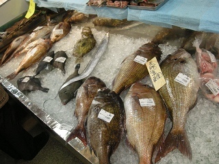 DSCN3129.jpg