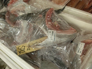 DSCN3130.jpg