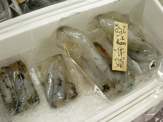 DSCN3131.jpg