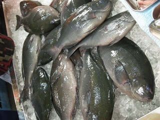 DSCN3171.jpg
