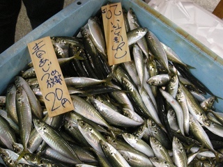 DSCN3203.jpg