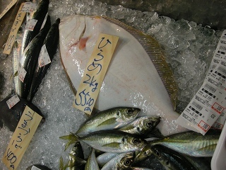 DSCN3223.jpg
