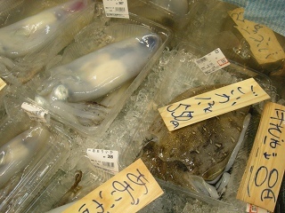 DSCN3224.jpg