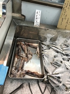 写真 2017-09-12 10 52 44.jpg