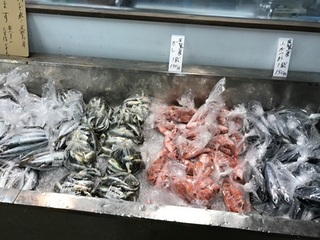 写真 2017-09-12 10 52 54.jpg