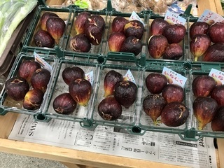 写真 2017-09-12 10 53 59.jpg