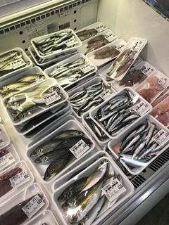 写真 2018-04-05 10 53 49.jpg