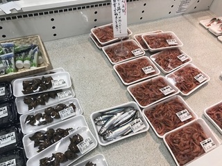 写真 2018-09-14 11 36 21.jpg