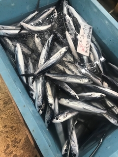 写真 2019-05-30 10 27 18.jpg