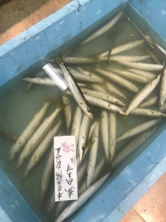 写真 2019-05-30 10 27 26.jpg