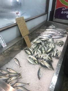 写真 2019-05-30 10 27 49.jpg
