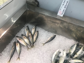 写真 2019-05-30 10 27 56.jpg