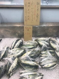 写真 2019-05-30 10 28 08.jpg
