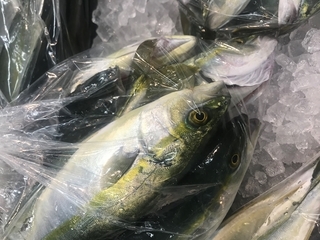写真 2019-05-30 10 28 17.jpg