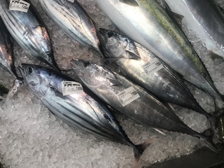 写真 2019-05-30 10 28 29.jpg