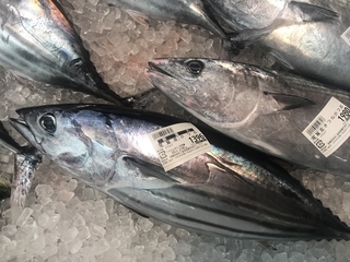写真 2019-05-30 10 28 43.jpg