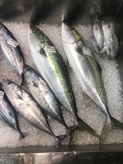 写真 2019-05-30 10 28 57.jpg