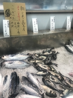 写真 2019-06-28 11 31 57.jpg